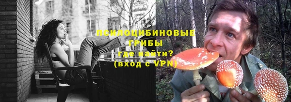 a pvp Алексин
