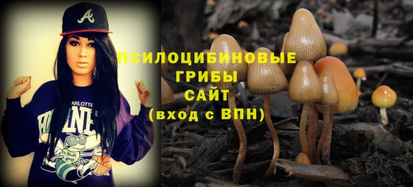 прущая мука Алзамай